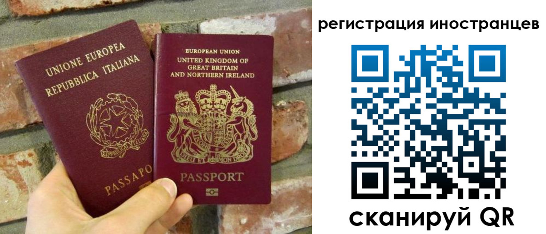 прописка 2025 в Чайковском